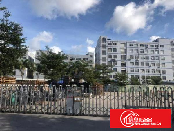 自建厂房出租，带装修