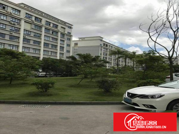 布吉上李朗1300平一楼标准厂房