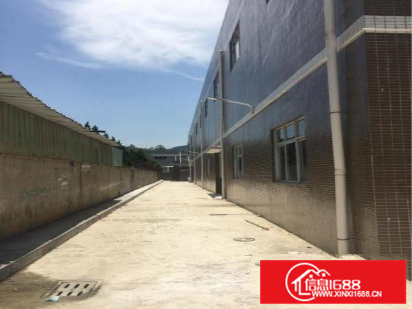 惠阳新墟独栋钢构厂房