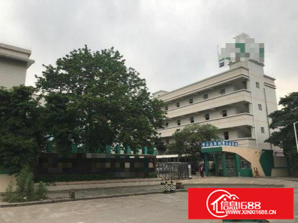 独门独院标准厂房出租