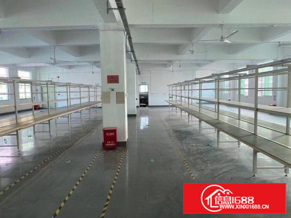 黄江工业区新出850平方厂房出租带装修拎包入驻