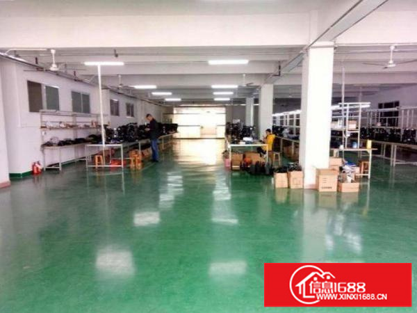 龙岗龙西带装修厂房500平1000平