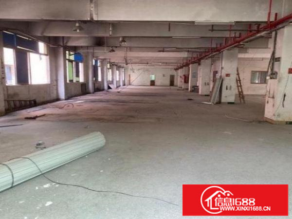 观澜大水田大型工业园区1500平方厂房出租适合电子