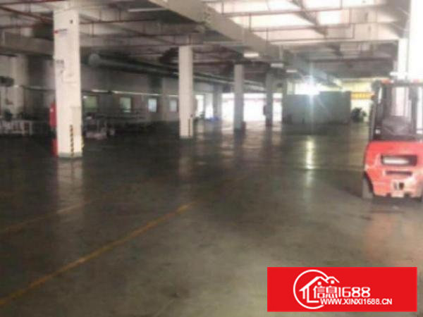 高埗一楼厂房出租1200平方，层高6米，现已空出