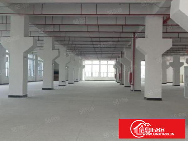 清溪原房东超大空地红本厂房