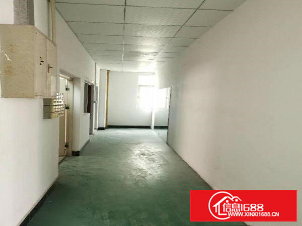 乌沙新出原房东独门独院厂房