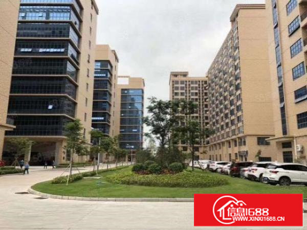 凤岗镇碧湖大道豪华精装修综合楼100平方到500平方拎包入住