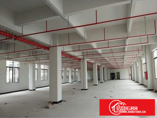 龙岗大道路旁新出独院厂房9000平米