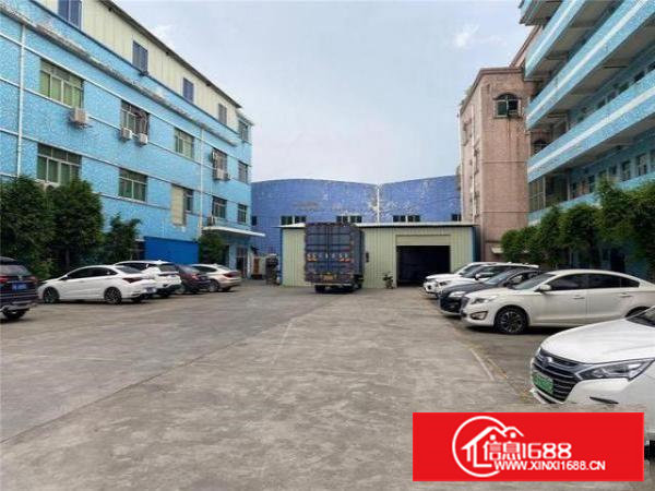 空地超大，货柜车可随意进出，钢构18元1平