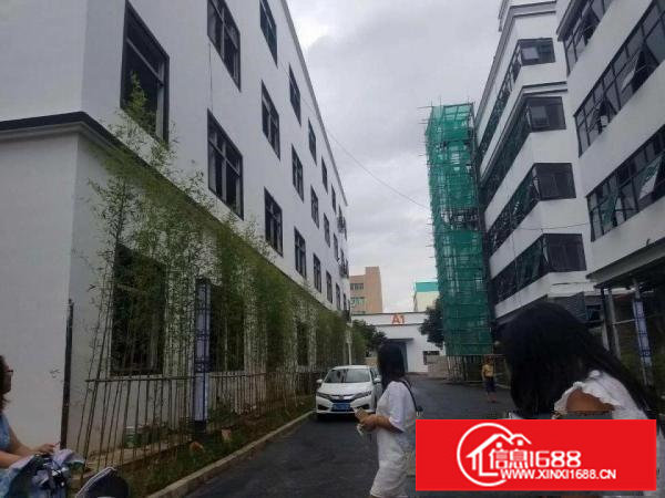 龙华观澜新出独栋厂房51000平