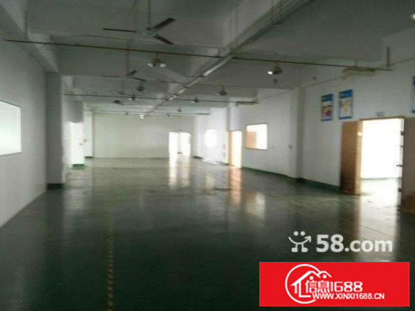 坂田高新科技园新出3楼4楼每层3000平方刚刚招租