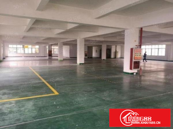 清溪三中独院标准2楼1000平方！双面采光!可办环评