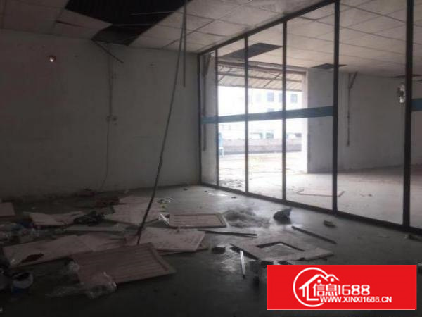 出租石碣石碣城区280平方厂房，精装修