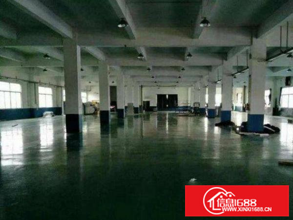 桥头东江村新出楼上1520平带豪华装修厂房招租