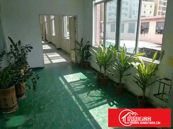 精品小独院2层2800平米无公摊