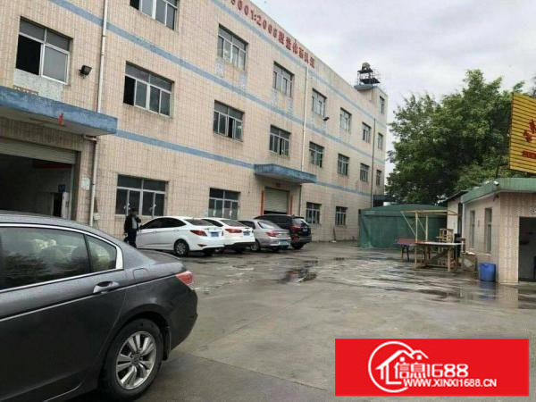 坪地新出红本厂房6000平方招租！