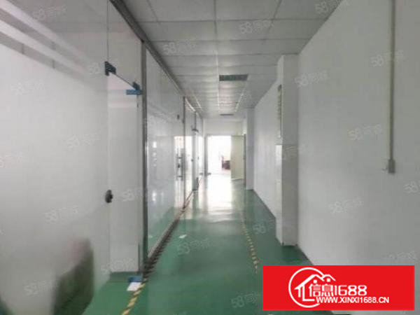 厂房出租横岗六约珠宝园精装修厂房1650平，200平起分租