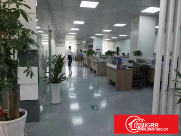 清溪新出楼上无尘车间2800平形象好现成装修价格实惠免费停车