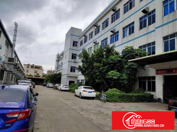 企石镇新出原房东标准厂房一楼1000平方，无公摊无杂费