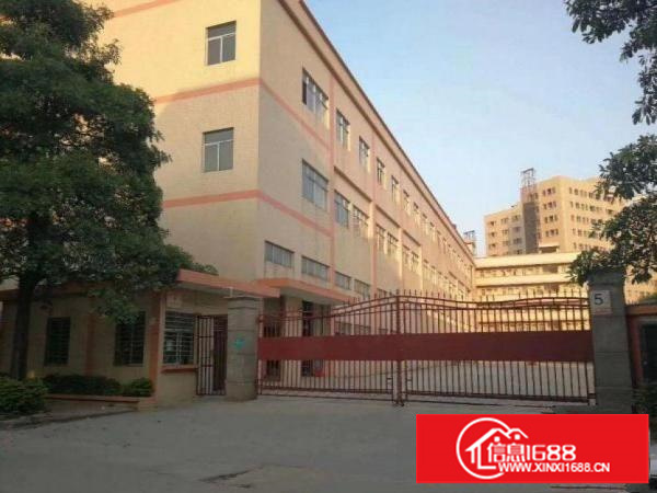 坪地盐龙大道新出1楼800平方厂房带装修采光好