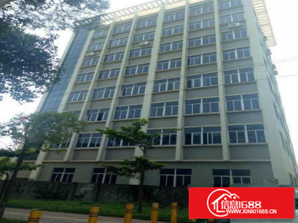 坪山石井办公室大小分租100平米起租物业直租