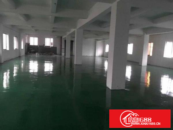 虎门新出超低价厂房，只要6元/平！！！