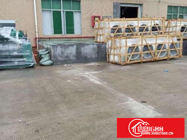 平湖白泥坑海吉星附近冷库，蔬果配送厂房出租500平方起租