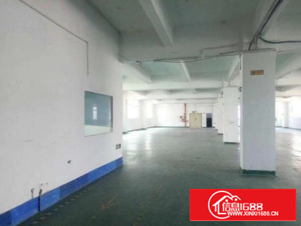 九围簕竹角新出楼上900方厂房招租