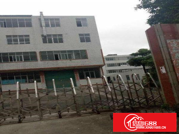 马蹄岗空出原房东小独院3层1400平厂房出租带水电装修