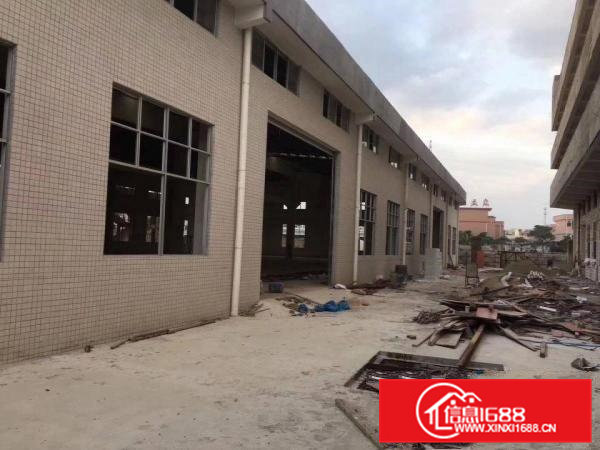 常平独院单一层厂房2900平方出租，滴水8米