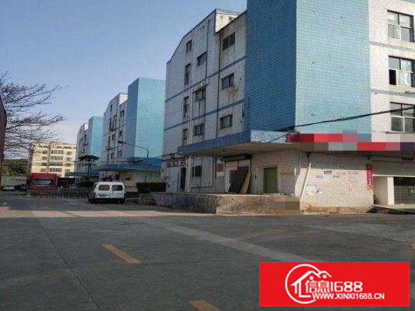 坂田二楼1560平原房东厂房出租可分租带办公室装修卸货平台