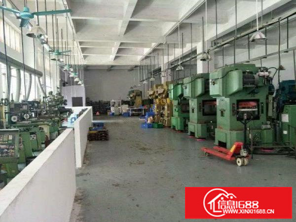 龙城周边凤岗官井头市场标准厂房一二楼1600平起招租