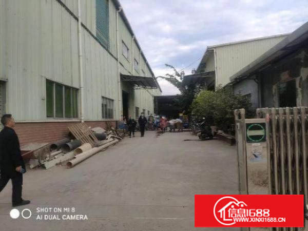 石排镇独门独院原房东新建单一层重工业钢构厂房滴水12米工业地