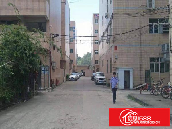 永湖地铁站100米新出2楼整层900平方带精装修办公室