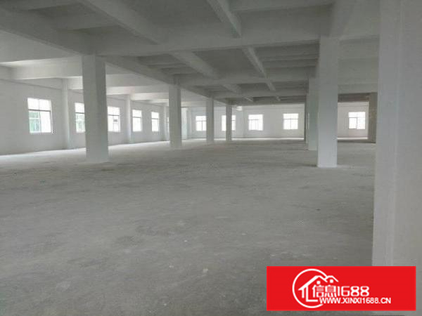 原房东全新红本独院14580平方