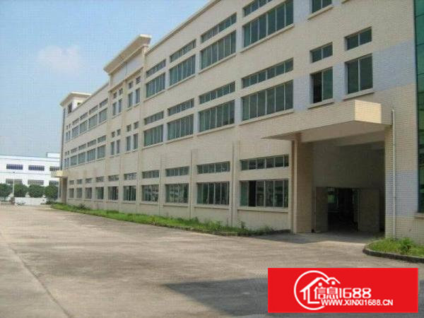 常平新出独院厂房五层6500平米