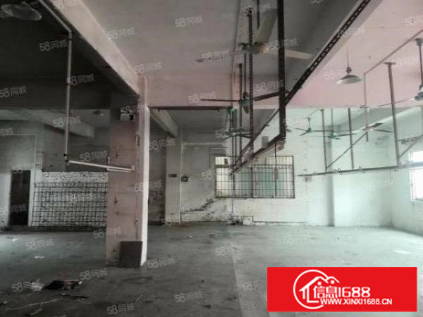 茶山卢边村出租厂房260平主线到位水电齐全