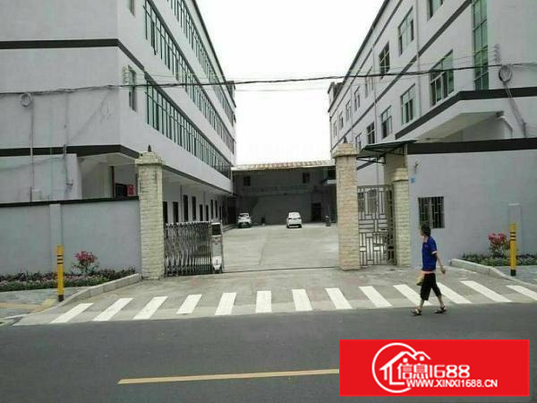 新圩约场新出原房东一楼整层面积1100平低价出租