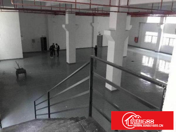 常平还珠沥超豪华装修7米层高一楼3000平厂