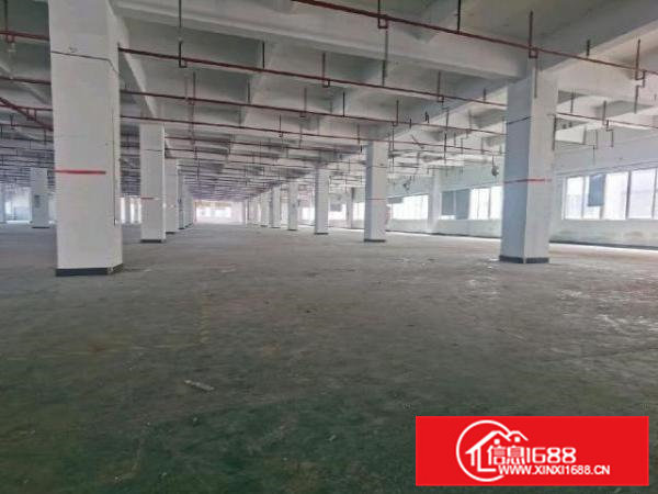 凤岗金凤凰工业区新出楼上