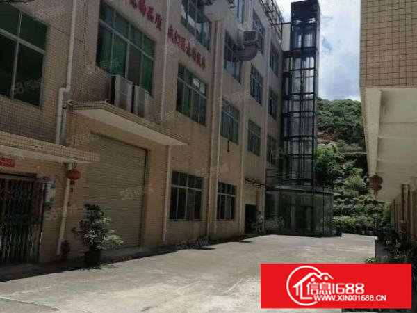 横岗安良原房东花园式独院厂房7100平19元