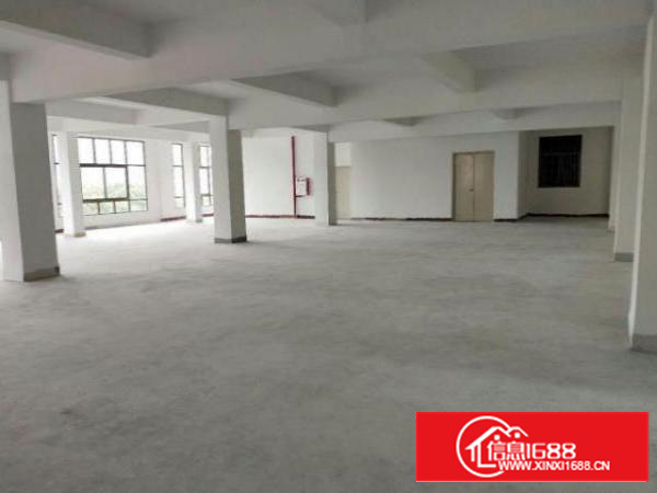 万江简沙洲标准楼上1000平方出租配有2吨标准货梯，水电齐全