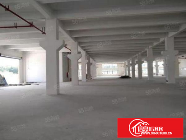 丹灶标准厂房5层20000房一层带牛角所有设施配套齐全