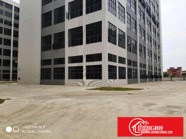 大朗新出工业区800平起租，带环评全新工业区厂房，高7米