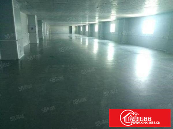 大朗巷头毛织市场独院2楼高4.8米无尘车间1100平厂房出租