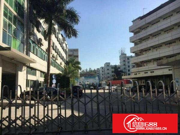 横岗荷坳地铁站1200平带装修厂房出租可分租