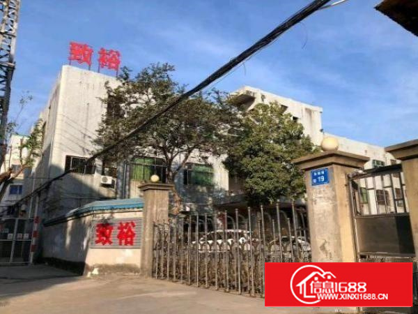 石碣桔洲独门独院标准厂房