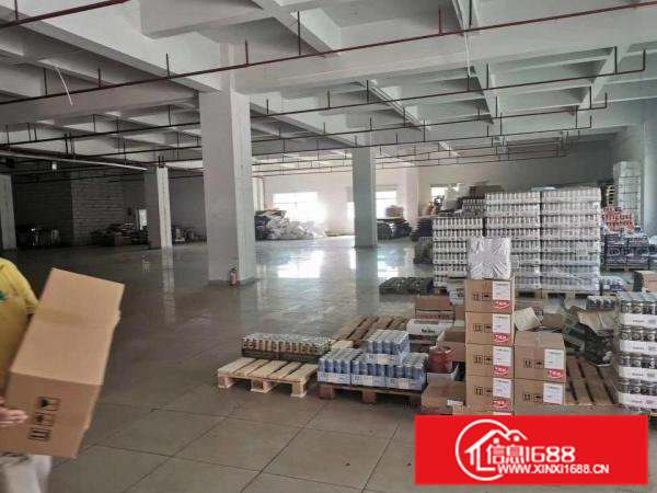 一楼6米，厂房仓库5000平方