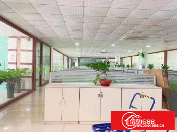 福永和平精装修原房东实际面积1500平价格便宜独栋独院空地大