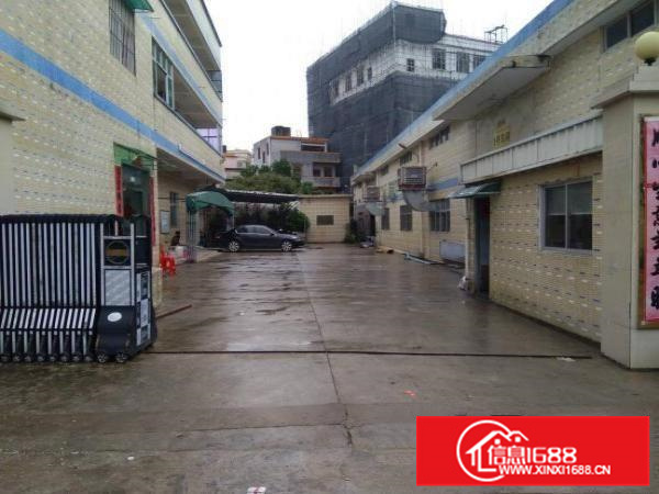 惠州秋长独门独院标准钢构厂房2600平方，滴水6米